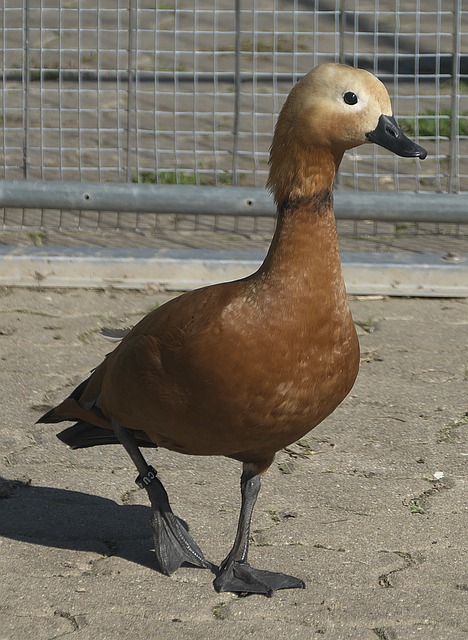 0分鐘