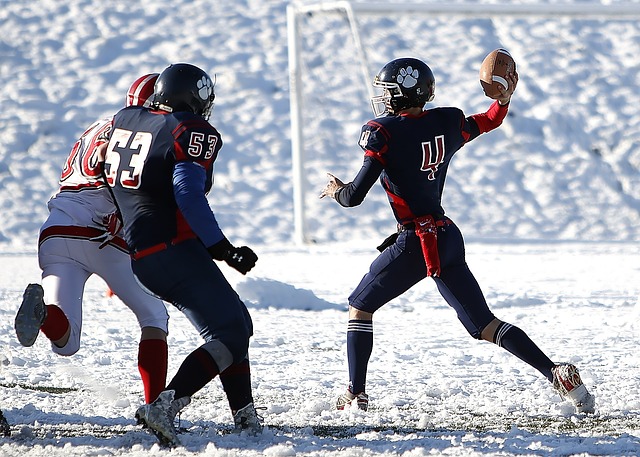 这也给予其 这也给予其