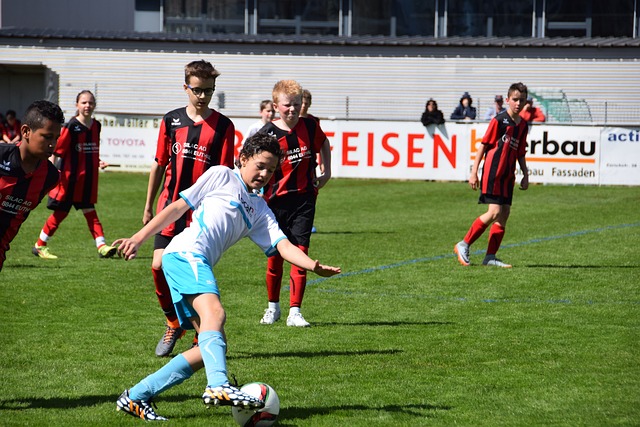 培养与发展 培养与发展