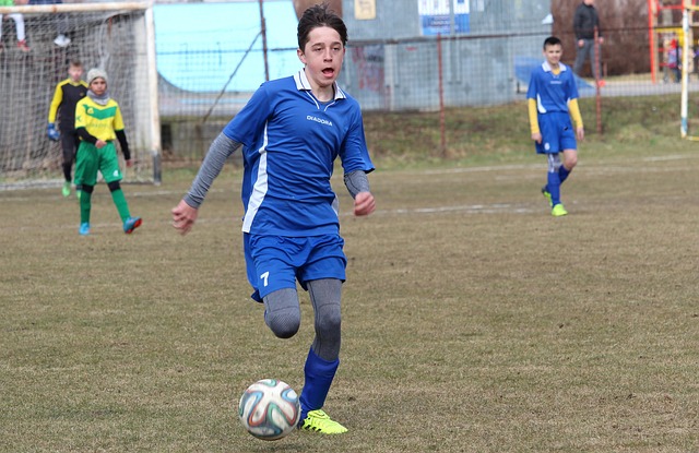 语言能力的 语言能力的