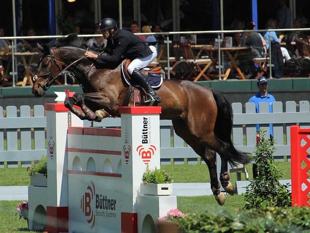 及地域限制 及地域限制